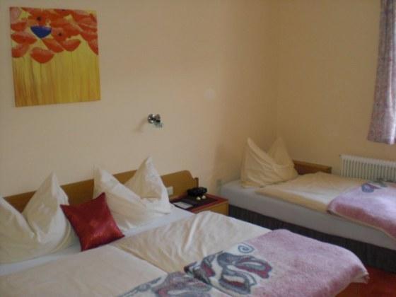 Hotel Bergkristall Schwarzenberg am Bohmerwald Экстерьер фото